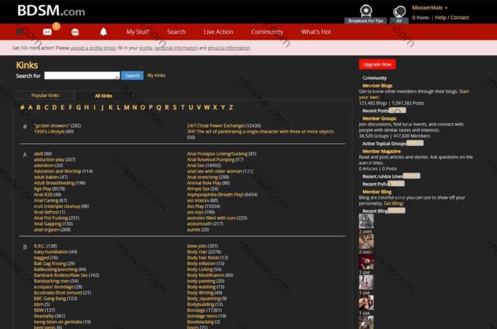screenshot of bdsm.com groups